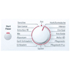 BOSCH WAE 28441 OE